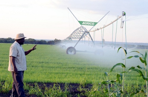 Ndodana Sibanda shows how the center pivot works to water the wheat in Arda Jotsholo recently. (picture by Nkosizile Ndlovu)